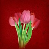 abstract floral illustration with red tulips