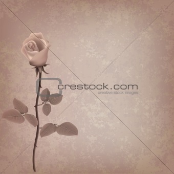 abstract grunge floral background with rose