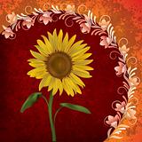 abstract grunge floral background with sunflower
