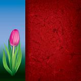 abstract floral background with pink tulip