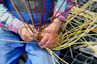 making traditional easter wicker basket 