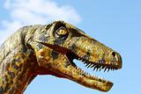 Deinonychus dinosaur head 