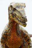 Deinonychus dinosaur 