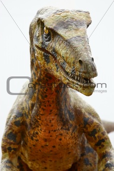 Deinonychus dinosaur 