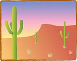Southwest Cacti
