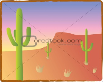 Southwest Cacti