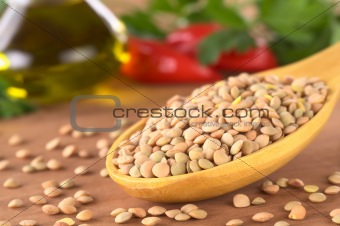 Raw Lentils on Wooden Spoon