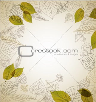 Spring leafs abstract background 