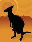 Kangaroo Outback