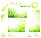 green fresh sunny banners 