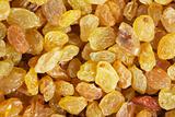 Golden yellow raisins background