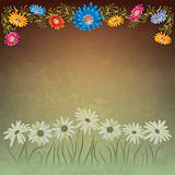 abstract floral background with chamomiles