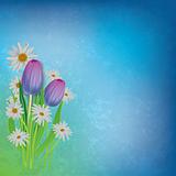 abstract floral background with tulips and chamomiles