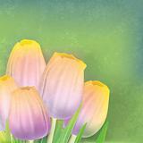 abstract grunge floral background with tulips