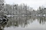Snow on the Pond