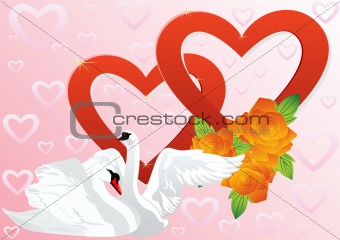 Two hearts and two swans