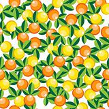 oranges and lemons pattern