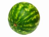 illustration of juicy water melon