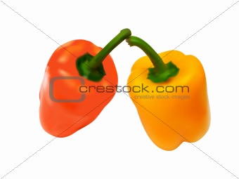 vector illustration of the colorful paprika