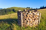 firewood stack on summer mountains