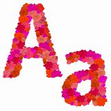 Flower alphabet of red roses, characters  A-a