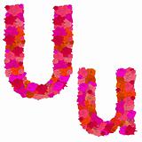 Flower alphabet of red roses, characters U-u