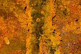 rusted metal tin background