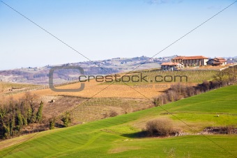 Italian villa with vineyard: spring season
