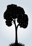 Silhouette of a vector tree 
