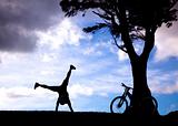 The Silhouette of mountain biker with handstand on the hill