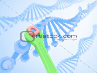 DNA Manipulation / Mutation