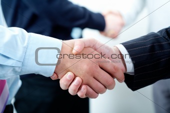 Row of handshakes 