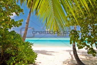 beautiful tropical beach on the maldives