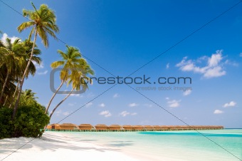 unspoilt beach on an maldivian island