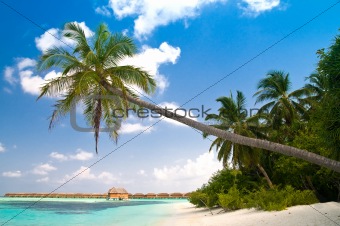 beautiful tropical beach