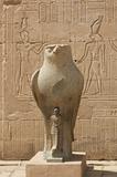 Statue of the falcon god at the Temple of Edfu
