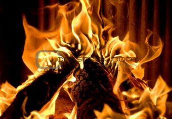 closeup of burning fire
