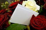 roses with blank card to fill out