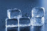 ice cube macro