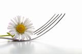 flower and fork