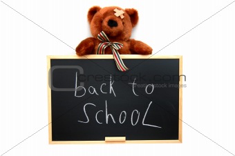 teddy and blackboard