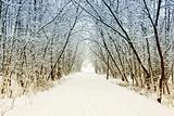 Cold and snowy winter road