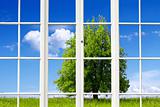 Ecology Window