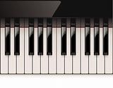 Vector detailed piano keyboard