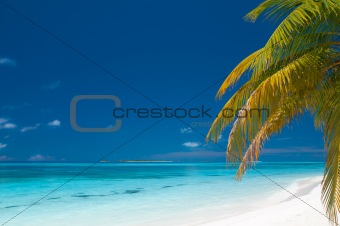 einsamer tropischer Strand