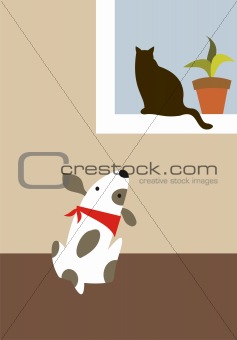 The dog and cat
