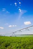 Irrigation in Field / agriculture