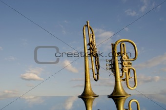 two musical wind instrument on mirror