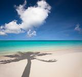 beautiful white sand beach and palm tree shadow