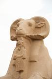 Ram headed sphinx at Karnak Temple isolated